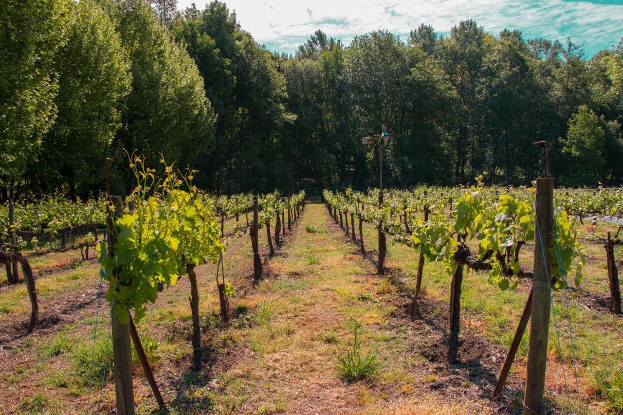Quinta De Requeixo Villa Guimarães Eksteriør bilde