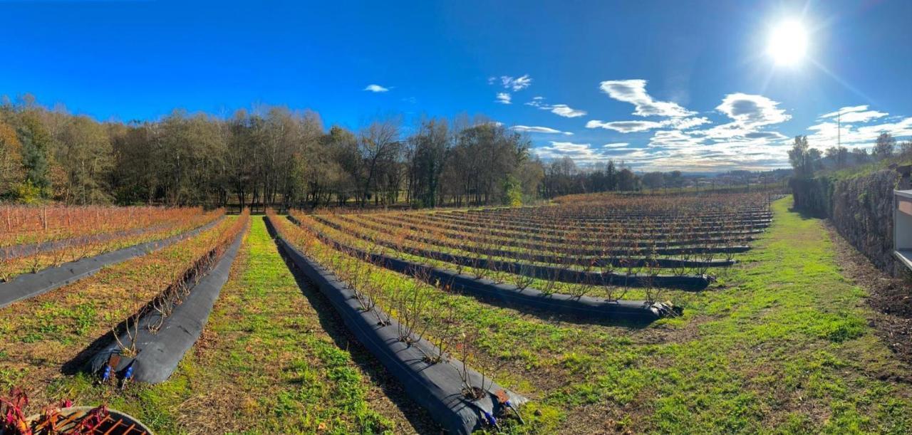Quinta De Requeixo Villa Guimarães Eksteriør bilde